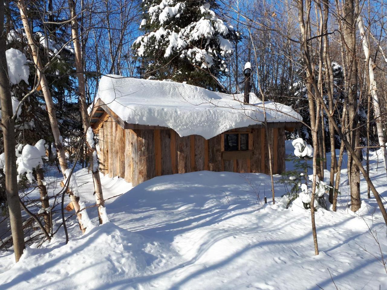 Hebergement De La Montagne St-Roch Saint Roch de Mekinac ภายนอก รูปภาพ
