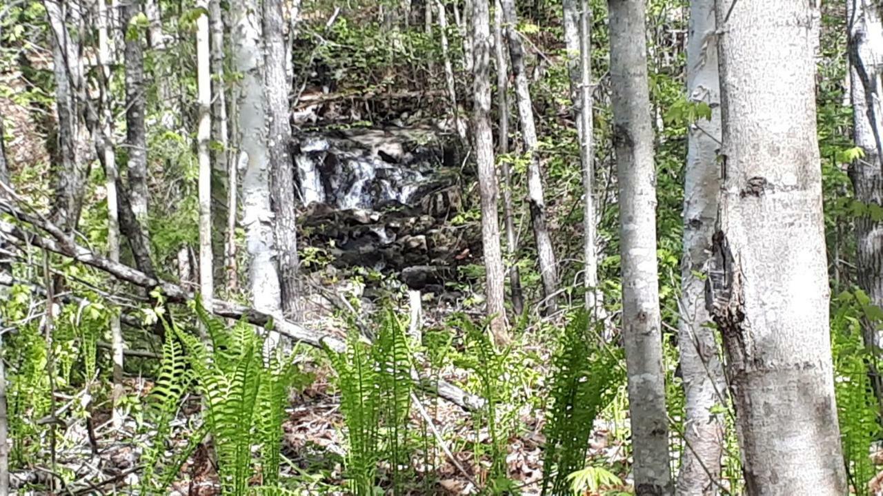 Hebergement De La Montagne St-Roch Saint Roch de Mekinac ภายนอก รูปภาพ